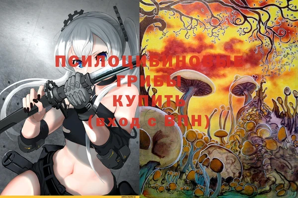 тгк Лабытнанги