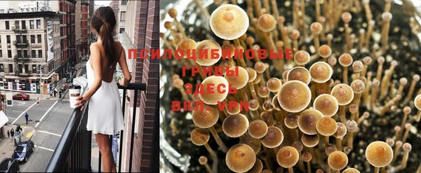 тгк Лабытнанги