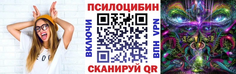 Псилоцибиновые грибы Psilocybe Суровикино