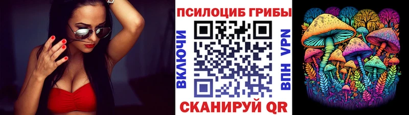 Псилоцибиновые грибы MAGIC MUSHROOMS  Суровикино 