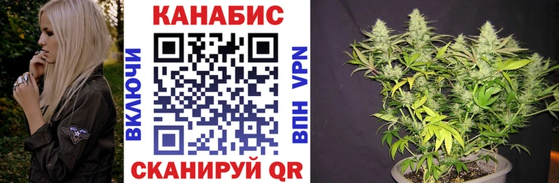 Канабис конопля Суровикино